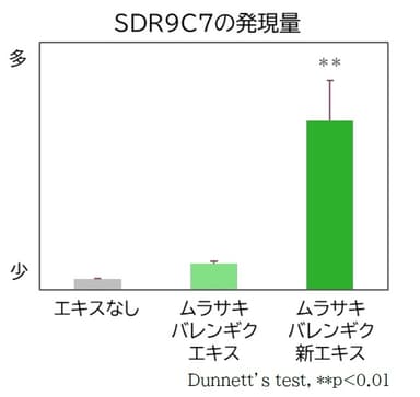 『ムラサキバレンギク新エキス』添加による「SDR9C7」遺伝子の発現量の変化