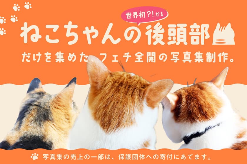 ねこフェチ写真集 第1弾！“ねこちゃんの後頭部”だけを集めた
フェチ全開写真集のクラウドファンディングを開始