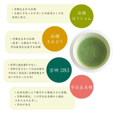 京都抹茶9品種解説(2)