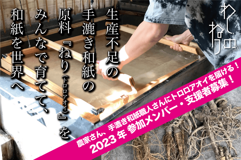 生産不足の手漉き和紙原料ねり(トロロアオイ)を
家庭で育て、農家さん、職人さんに届ける！
“「わしのねり」プロジェクト2023”の参加者・支援者を募集