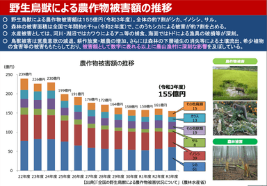 野生鳥獣による農作物被害額の推移(出典　農村振興局 鳥獣対策・農村環境課 鳥獣対策室より)