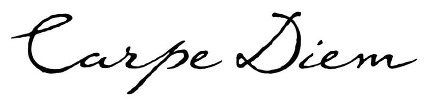 ファブリックのプロが細部までこだわった、
大人の遊び心溢れる個性的なクッション「Carpe Diem」が
ラインアップを増やして登場！