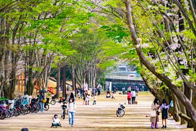 町田市_鶴間公園