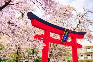 玉川学園(菅原神社)