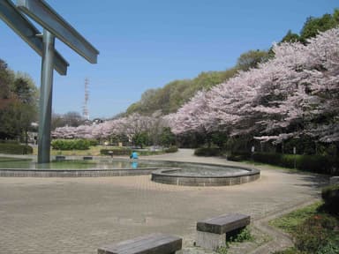 芹ヶ谷公園