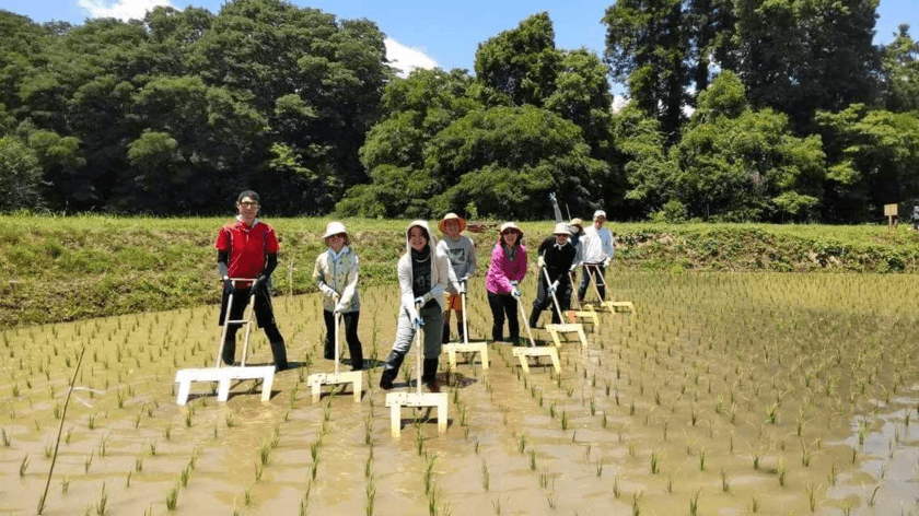 完全無農薬の自然米作りからSAKE造り！「GINTEN NatureB」
参加型プロジェクトにて待望のSAKEが完成！