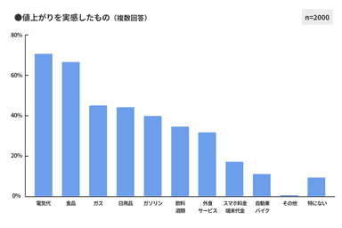 図4　値上がりを実感したもの