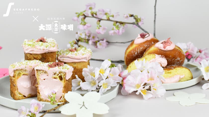 セガフレード×大源味噌 初のコラボレーション　
春の和桜スイーツ2商品を3月17日(金)に発売　
春の訪れを感じる可愛らしいビジュアルはお土産にもピッタリ！