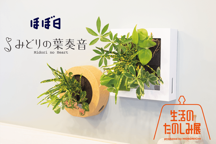 みどりの葉奏音×ほぼ日　
『生活のたのしみ展2023』に〈土を使わない植物のお店〉出店　
GWの4月29日(土)～5月5日(金・祝) 新宿住友ビル三角広場にて