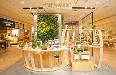 みどりの葉奏音 日本橋高島屋S.C.店