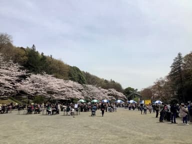 芹ヶ谷公園