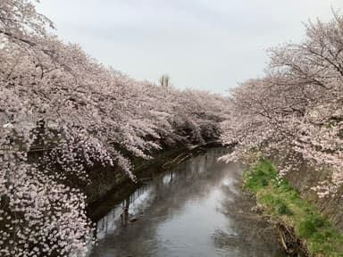 恩田川