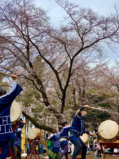 さくらフェスティバルin 鶴間公園