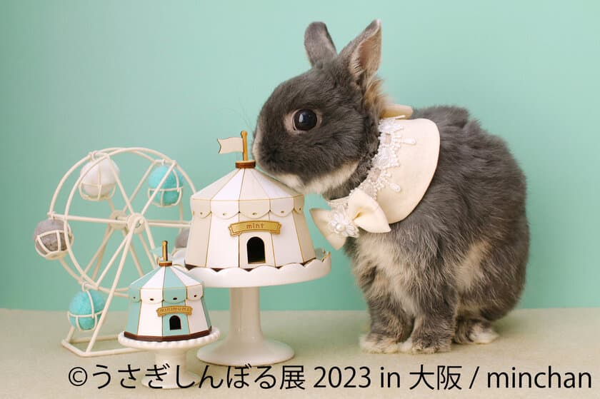 1年ぶりに大阪上陸！もふもふ可愛いうさぎ作品が集結する
「うさぎしんぼる展 2023」4月14日～4月23日開催！
過去最大63組のクリエイターが競演