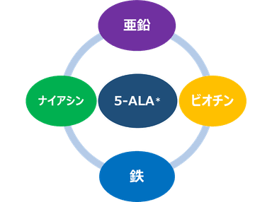 4つの栄養機能成分と5-ALA