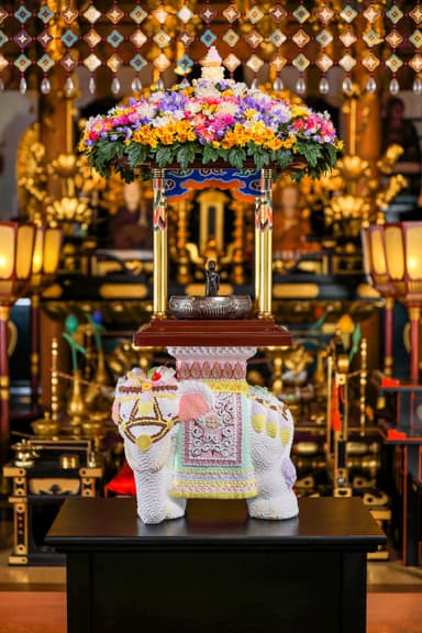 渡辺おさむ作品《Sweets Elephant》