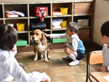 小学校でかわいがられていたタロー