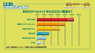 大人篇_グラフ