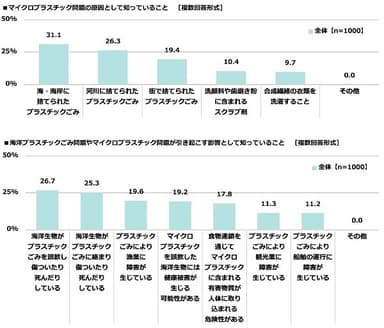 マイクロプラスチック問題の原因として知っていること/海洋プラスチックごみ問題やマイクロプラスチック問題が引き起こす影響として知っていること