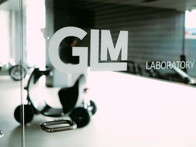 GLM2