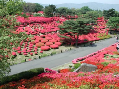 小室山つつじ園