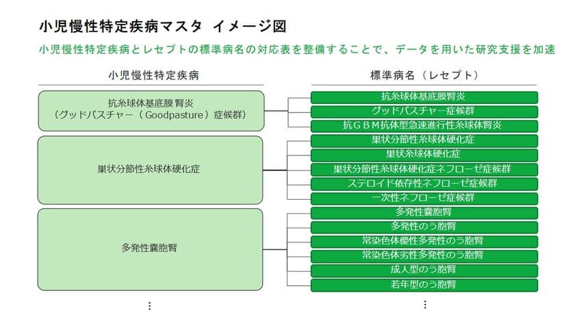 小児慢性特定疾病における“腎疾患”の病名マスタを作成
～無償提供を開始し、医療ビッグデータを用いた研究の推進へ～