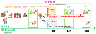 研究の流れ