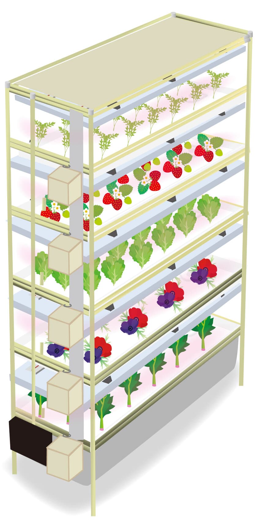 植物工場向けに電気代削減と生産量増加を同時に実現する
栽培照明最適化技術「エコブーストLEDソリューション」を発表