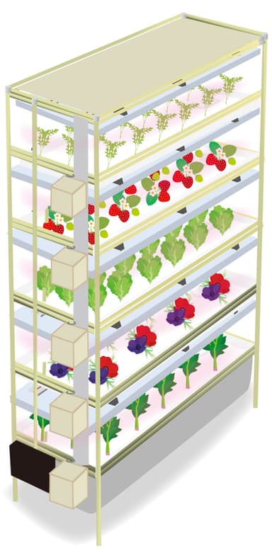 RGB独立調光型LED植物栽培装置「AGRI-Oh！(アグリ王)シリーズ」