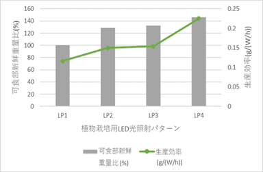 図2. 光照射パターンごとの可食部新鮮重量比と生産効率