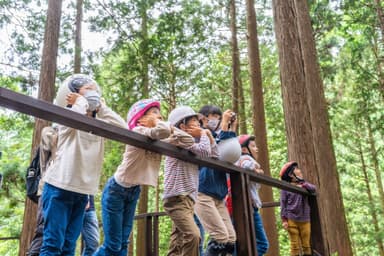 木の伐採現場にて。