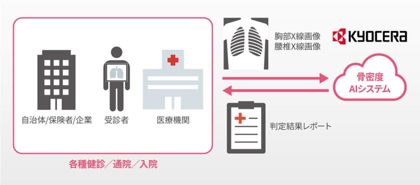 京セラが「AI骨粗しょう症診断補助システム」の実用化を目指し
東京大学と「運動器AIシステム開発学講座」を開設