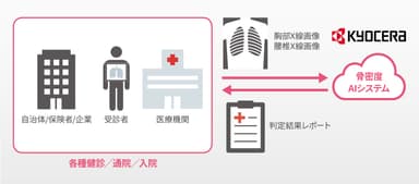 「AI骨粗しょう症診断補助システム」による診断補助イメージ