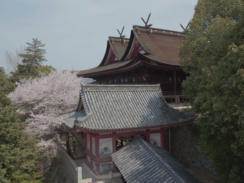 桃太郎伝説の舞台 岡山県・吉備津神社が
国指定重要文化財「南随神門」の
修復・美装化に向けたプロジェクトを4月28日より開始