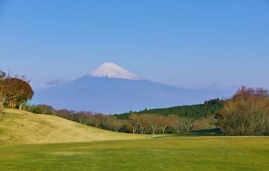 ホテルハーヴェスト天城高原(1)