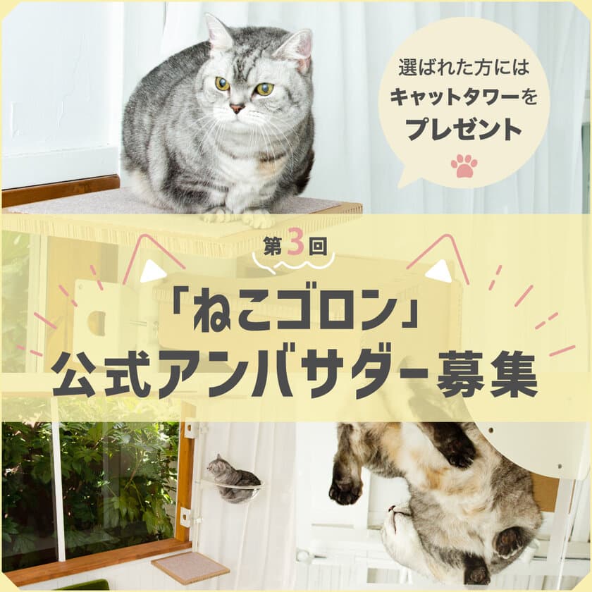 窓枠に付けるキャットタワー！Instagramにて『ねこゴロン』
第3回公式アンバサダーを5月8日から5月21日まで募集