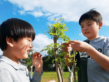 子供たちとモリンガ