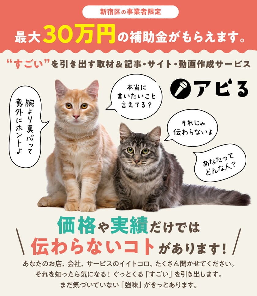 “すごい”を引き出すサービス「アピる！」が登場！
最大30万円補助！新宿区経営力強化支援事業補助金対応