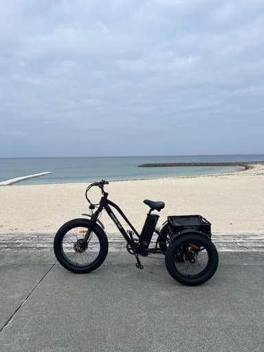 Aoi-Trike4