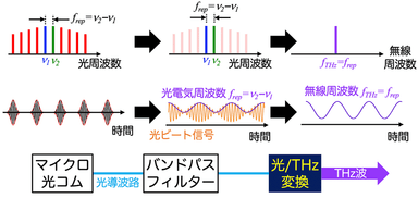 図2　マイクロ光コムの光／電気変換によるテラヘルツ発生