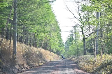 木々に囲まれた未舗装路を走る選手