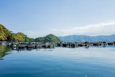 阿納地区のふぐ養殖いけす