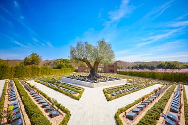 樹齢1&#44;000年オリーブの樹・桜と自然豊かな霊園