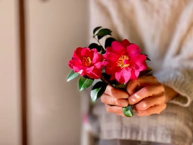 生花に触れることで心も生き生き