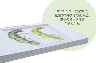 3D模型