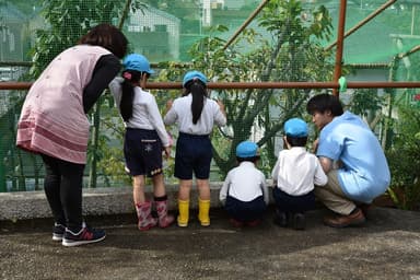 幼稚園、保護施設訪問の様子