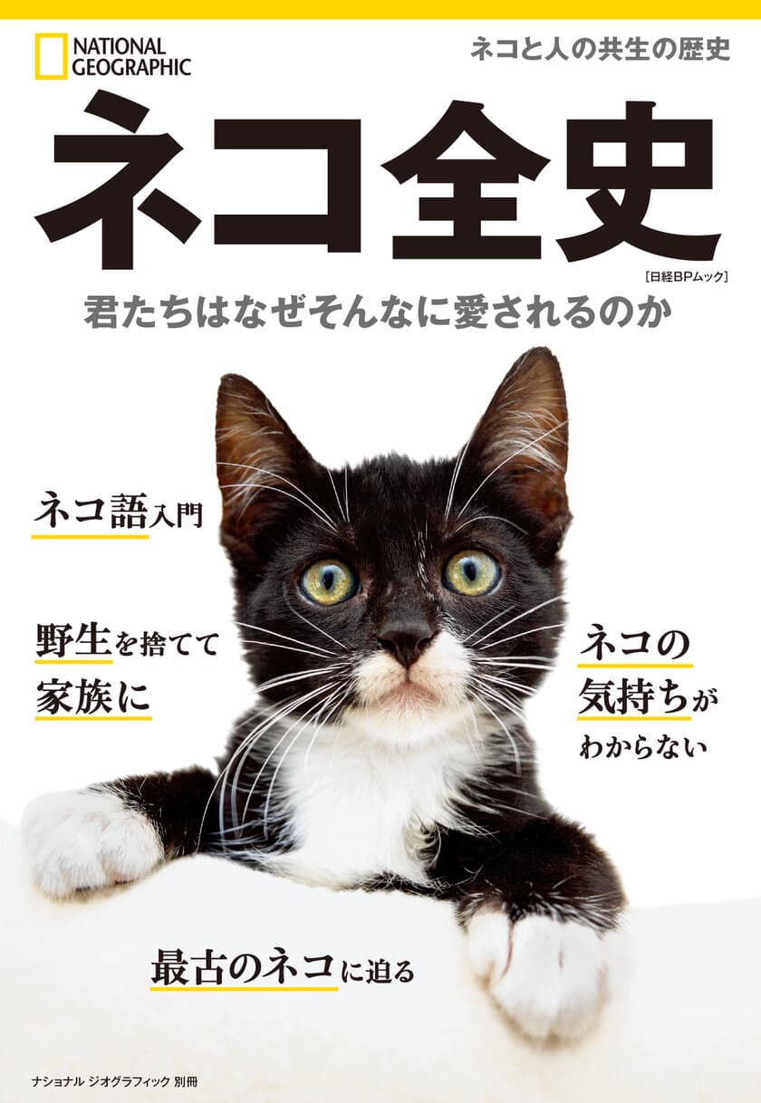 『ネコ全史
君たちはなぜそんなに愛されるのか』
5月31日（水）発売