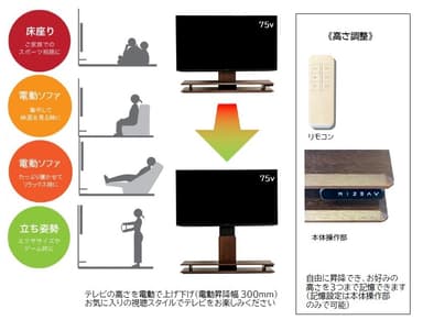 テレビの視聴スタイルイ説明