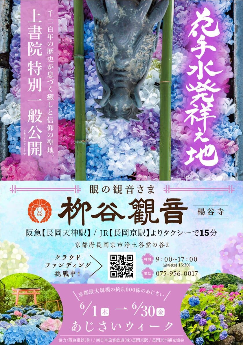 京都最大規模！約5,000株が咲き誇る「あじさいウイーク」
花手水発祥の地「柳谷観音」にて6月1日(木)～30日(金)開催