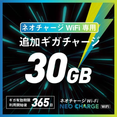 追加30GB